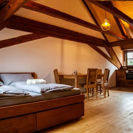 Apartmany Temechov Želiv Esterno foto