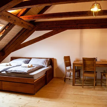 Apartmany Temechov Želiv Esterno foto