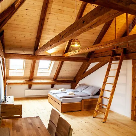 Apartmany Temechov Želiv Esterno foto