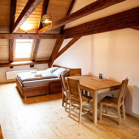 Apartmany Temechov Želiv Esterno foto