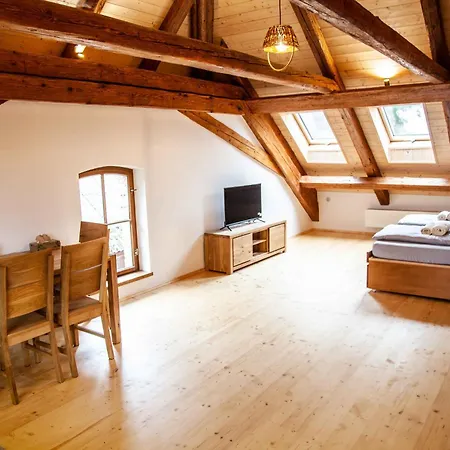Apartmany Temechov Želiv Esterno foto
